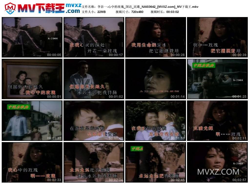 李谷一-心中的玫瑰_国语_民歌_NAI03642